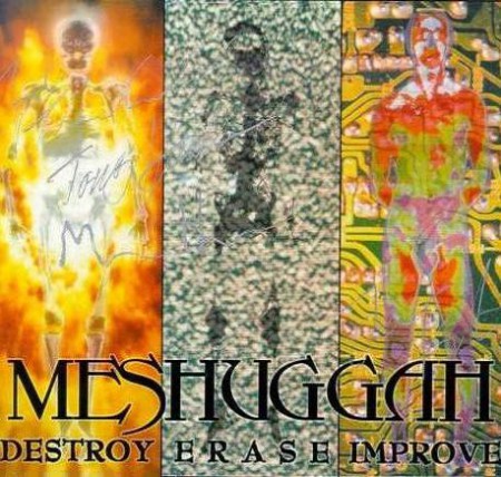 Destroy Erase Improve